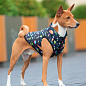 Курточка для собак WAUDOG Clothes рисунок "Рик и Морти 2", S35, В 47-50 см, С 30-33 см (0935-0281) купить