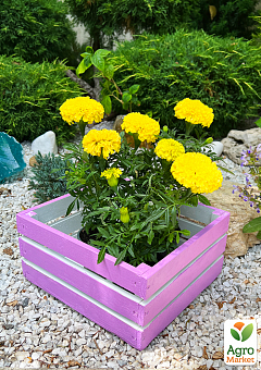 Ящик дерев'яний для зберігання декору та квітів "Прованс" довжина 25см, ширина 27см, висота 13см. (ліловий)1