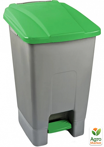 Бак для сміття з педаллю Planet 70 л сіро-зелений (6820)