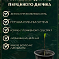 Сычуаньский перец "Zanthoxylum" (перечное дерево) высота 10см купить
