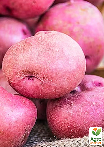 Картопля "Есмі" насіннєва рання (1 репродукція) 1кг