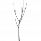 Дерево-сад Яблоня "Голден+Фукутами+Роялти" купить