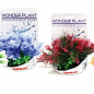 Рослини штучні Вейв Рослина штучна WONDER SER. F 13см 4 відa (1560740)