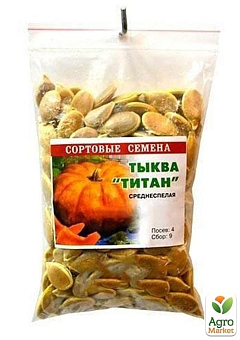 Тыква "Титан" ТМ "Весна" 100г11