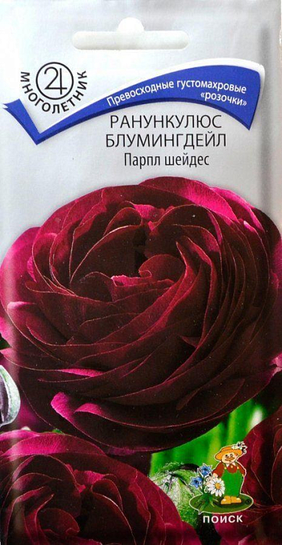 Ранункулюс блумингдейл "Парпл Шейдес" ТМ "Поиск" 5шт