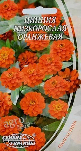 Цинния низкорослая оранжевая ТМ "Семена Украины" 0.5г