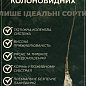 Яблуня колоновидна "Джин" (зимовий сорт, пізній термін дозрівання) купить