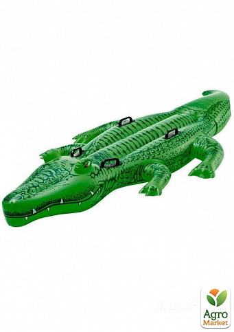 Детский надувной плотик для катания "Крокодил" 203х114 см ТМ "Intex" (58562)