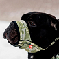 Намордник для собак WAUDOG Nylon, рисунок "Милитари", пластиковый фастекс, размер L, О 25-34 см (352-4026) цена