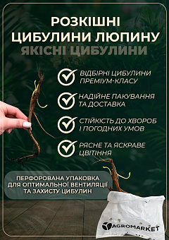 Люпин "Governor"6