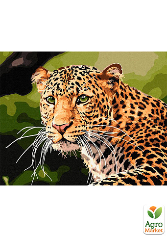 Картина по номерам - Зеленоглазый леопард Идейка KHO4322