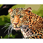 Картина по номерам - Зеленоглазый леопард Идейка KHO4322