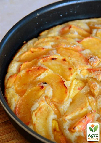 Ексклюзив! Яблуня колоновидна "Медок" (Medoc) (преміальний осінній високоврожайний сорт) - фото 3