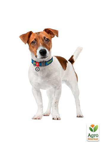 Ошейник для собак нейлоновый WAUDOG Nylon с QR паспортом, рисунок "Патрон", пластиковый фастекс, XL, Ш 25 мм, Длина 37-58 см (283-4025) - фото 3