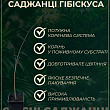 Гибискус древовидный махровый "Freedom"  купить