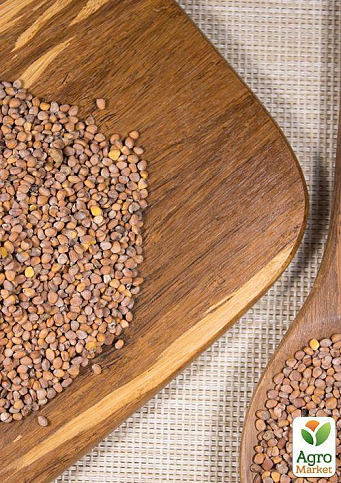 На развес Редис "Богиня" ТМ "Весна" цена за 10г - фото 2