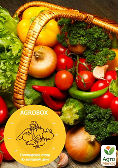 AGROBOX "Овощной микс" 5 голландских сортов (50 пакетов)2