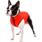 Курточка для собак AiryVest двостороння, розмір XS 25, червоно-чорна (1569) цена