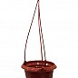 Набор кашпо подвесное (коричневое) "Петуния №0" высота 13см, диаметр 18.5см, 1.8л + подвес коричневый