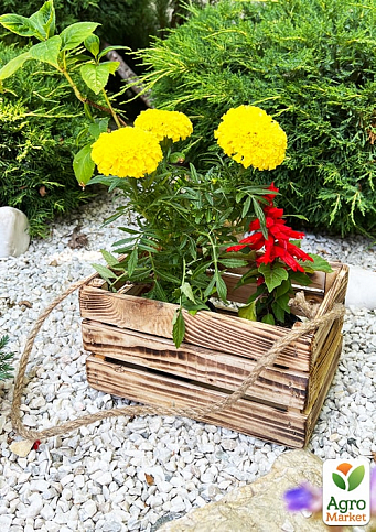 Ящик декоративный деревянный для хранения и цветов "Бланш" д. 25см, ш. 17см, в. 13см. (обожжённый с длинной ручкой) - фото 2