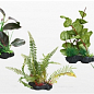 Растения искусственные Вейв Растение искусственное AMAZING PLANT 25-30см (1802390)