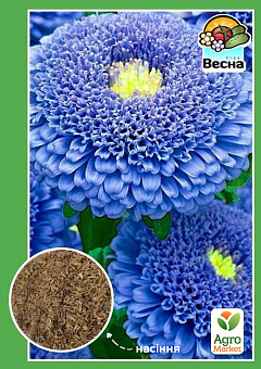 Астра "Христина" ТМ "Весна" 0.2г