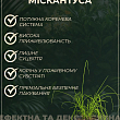 Міскантус китайський "Malepartus" С2  купить