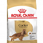 Royal Canin Cocker Adult сухий корм для собак породи англійський чи американський кокер спаніель 3 кг (7437090)