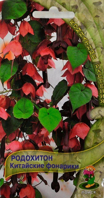 Родохітон "Китайські ліхтарики" ТМ "Пошук" 5шт