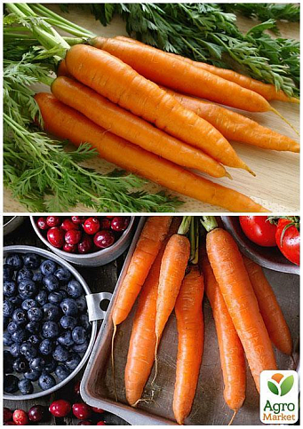 На развес Морковь "Детская сладкая" ТМ "Весна" цена за 10г - фото 3