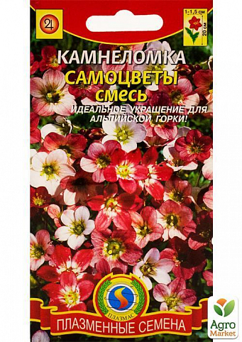 Камнеломка "Самоцветы" смесь ТМ "Плазменные семена" 0,01г