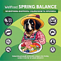 Сухий корм для собак "Spring Balance" (баранина та кролик) ТМ "Well Food" 0.25кг купить
