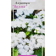 Агератум білий ТМ "Весна" 0.2г купить