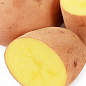 Насіннєва рання картопля "Вівіана" (на варіння, 1 репродукція) 1кг цена