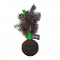 Джойсер игрушка-неваляшка для котов Мяч с перьями и кошачьей мятой черно-зелёный 3,5 см (6012090)
