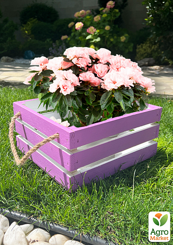 Ящик декоративный деревянный для хранения и цветов "Прованс" д. 25см, ш. 27см, в. 13см. (лиловый с ручками) - фото 3