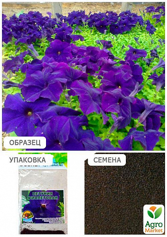 Петунія "Фіолетова" (Зипер) ТМ "Весна" 1г - фото 2