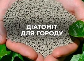 Діатоміт для городу: властивості, користь та правила використання | Agro-market