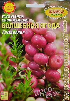 Гаультерія низькоросла "Чарівна ягода" ТМ "Аеліта"2