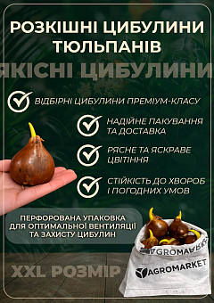 Тюльпан "Happy Upstar" 5