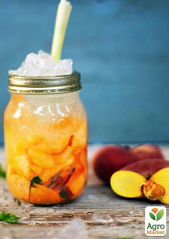 Эксклюзив! Персик желтый с ярким румянцем "Тропический рай" (Tropical paradise) (английская селекция, премиальный высокоурожайный сорт) - фото 8