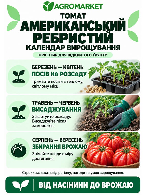 Томат "Американский ребристый" (Зипер) ТМ "Весна" 0.5г