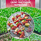 Микрозелень "Салат листовой красный" ТМ "SeedEra" 10г
