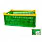 Ящик складаний пластиковий 600 * 400 * 240 мм зелений ТМ MASTER TOOL 79-3952