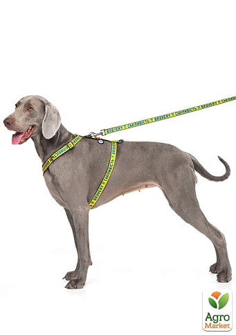 Шлейка для собак анатомическая H-образная WAUDOG Nylon с QR-паспортом, рисунок "Смелость", пластиковый фастекс, L, Ш 25 мм, А 50-90, В 60-100 (5160-02 - фото 2