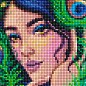 Алмазна мозаїка - Загадкова дівчина з голограмними стразами (АВ) Ідейка AMO7541 купить
