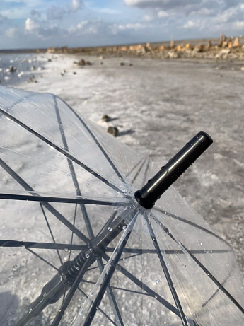 Прозрачный зонт-трость, полуавтомат с черной ручкой Качество Люкс SKL11-276461 - фото 4
