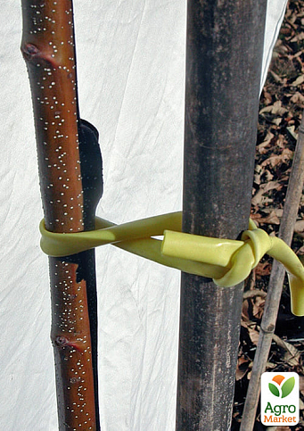 Подвязка для растений из ПВХ 10 м - фото 2