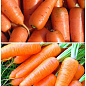 На развес Морковь "Зимний нектар" ТМ "Весна" цена за 10г купить