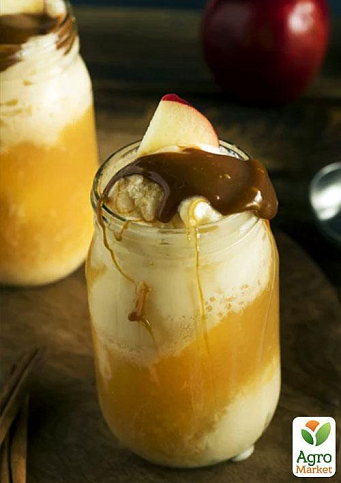 Ексклюзив! Яблуня червоно-чорна "Сад любові" (Garden of love) (преміальний великоплідний сорт) - фото 6